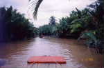 Mekong0013.jpg