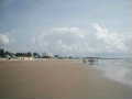 P1010079.jpg