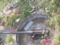 IMGP1122.jpg