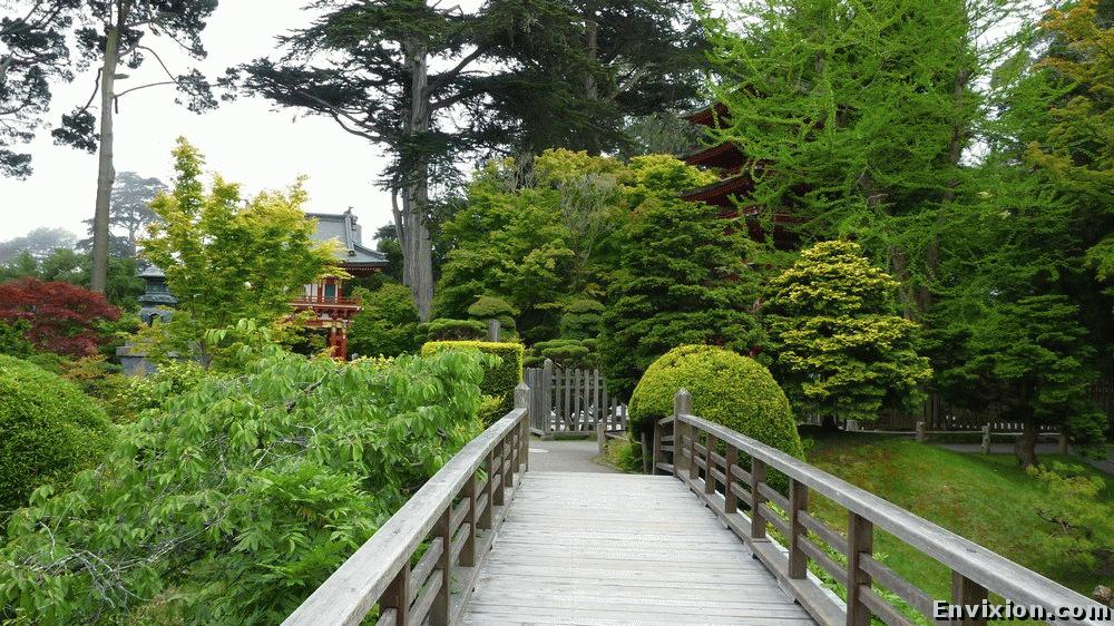 ../USA/california/san_francisco/japanese_tea_garden/pix/P1060824.JPG