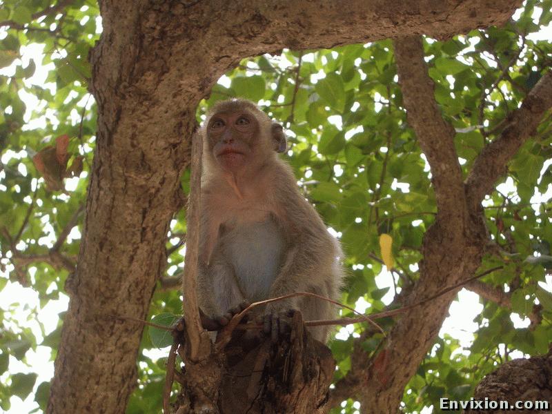 ../thailand/korang_island/pix/CIMG9775.JPG
