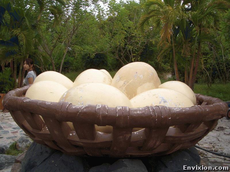 ../vietnam/ba_ria/ba_ria_2006/binh_chau/pix/CIMG4430.JPG