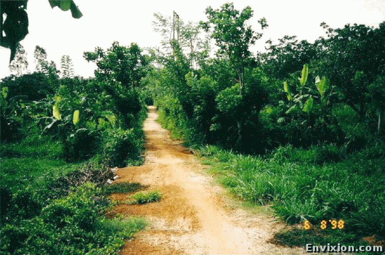 ../vietnam/dong_nai/pix/Ongdon0001.jpg